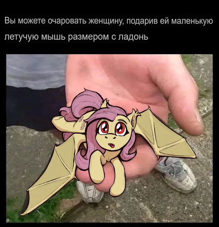  My Little Pony, Flutterbat