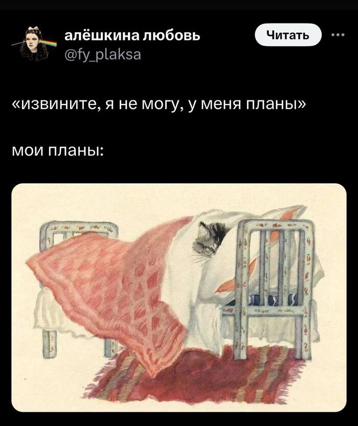    , X (Twitter), , ,   , , 