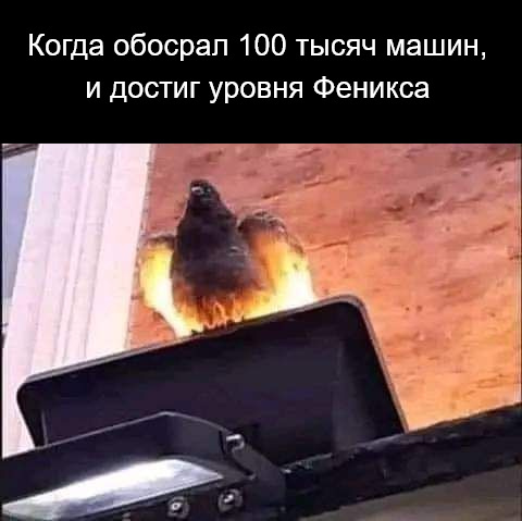  )