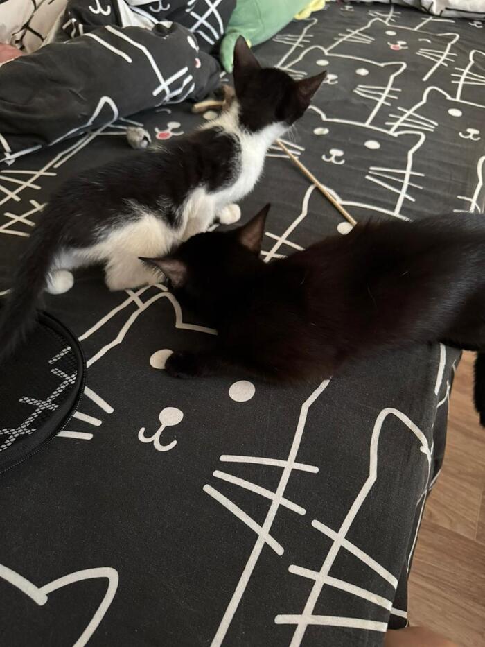        , ,   , , ,  , , , ,   , ,  ,  