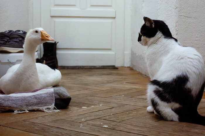 ������ �� ����� � ��������. ��� ����������� ����. ����� ��� ����� ��� �������� ��� �������� ����