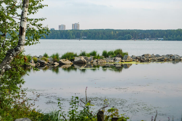 ��� ������. ���� � ���� ��������