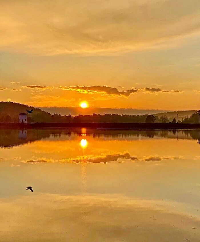 ������������ �������������. ����: ������� �������� | ��������