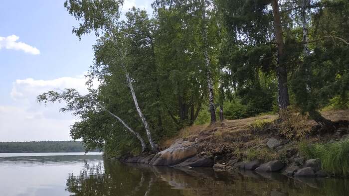 ����� � ������ ����� ������� ������. ����� ���������. 