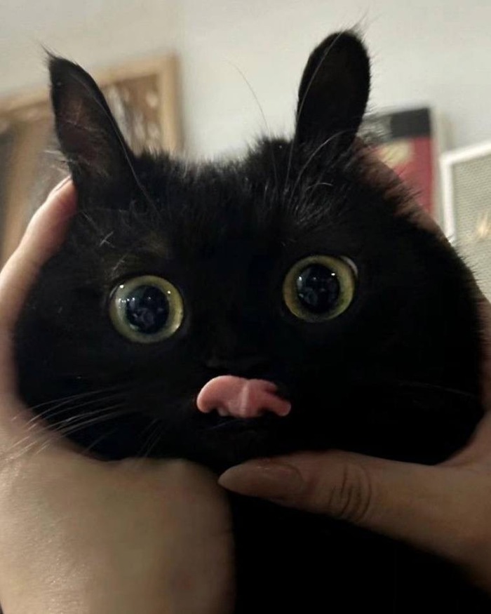   , , ,  ,  ,  