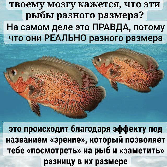     , ,  ,   , 
