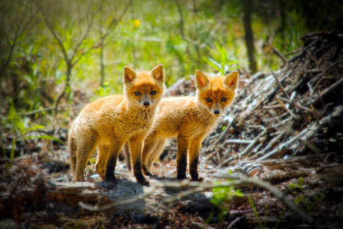 :   <a href="https://pikabu.ru/story/dvoynoy_sled_12779114?u=https%3A%2F%2Frtraveler.ru%2Fphoto%2F1475760%2F%3Feditorial_photos%3D1&t=%D0%BE%D1%82%D1%81%D1%8E%D0%B4%D0%B0&h=71b1f8772fbfbbd87908cbaffb055d103cb7b75c" title="https://rtraveler.ru/photo/1475760/?editorial_photos=1" target="_blank" rel="nofollow noopener"></a>