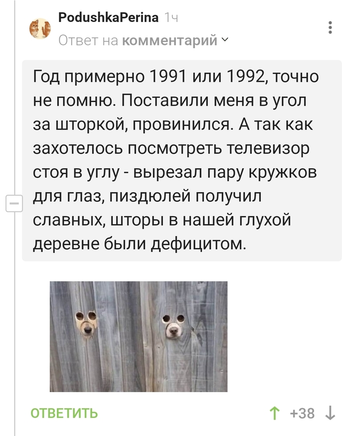 А шторы-то в чём виноваты?)