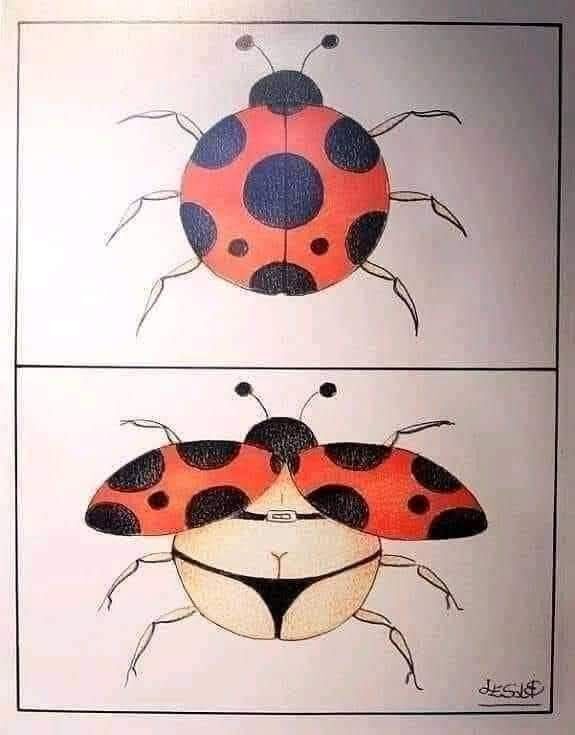  ,  , 