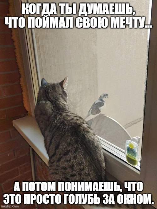     , ,  , ,  ,  