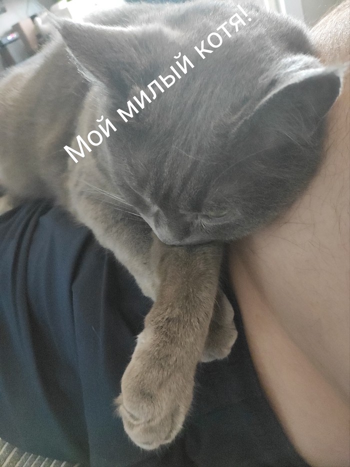     , , , ,   , 