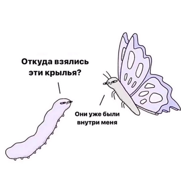    , , , ,   , , , ,  , ,  , , ,  ,  , Telegram ()