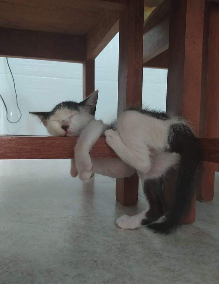  ,    , 