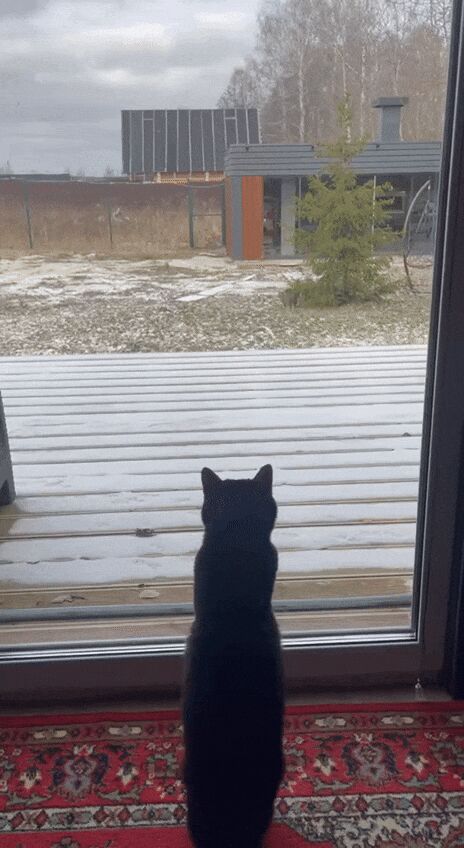  :          -20C , ,  ,  , , , 