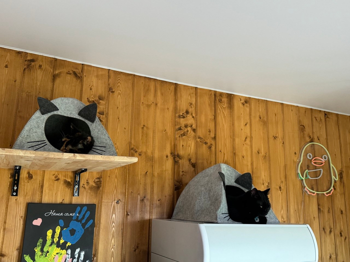 � ������� ���� ��������