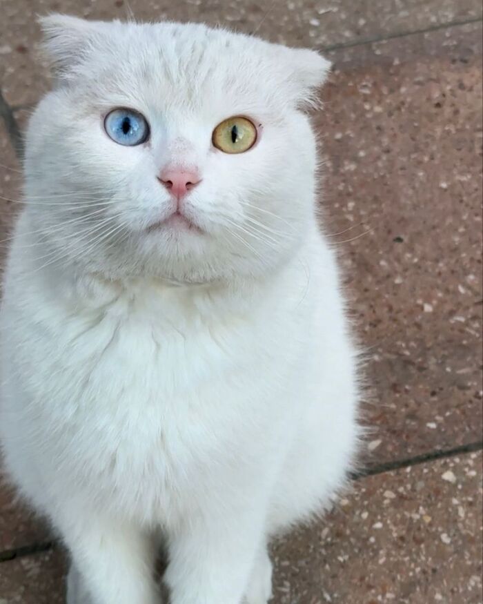   - !      , ,  ,  , ,  , ,  , ,   ,  ,  , ,  , 