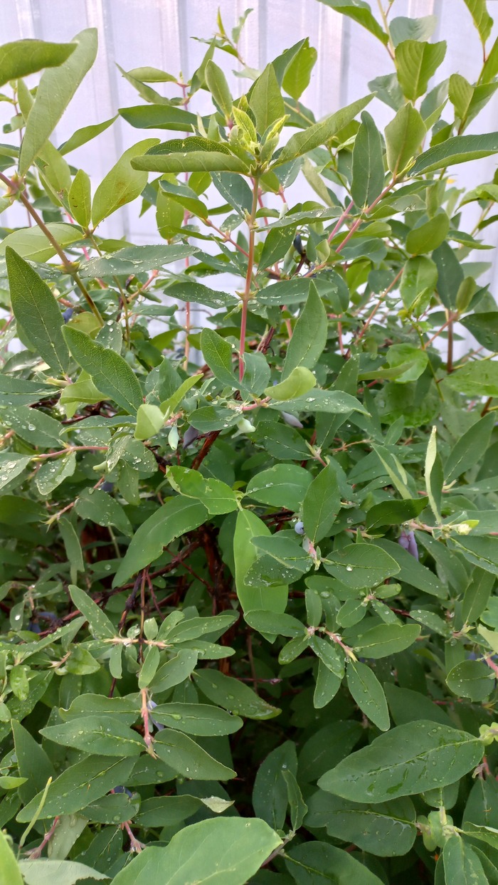 ,      .    ,   .       . 