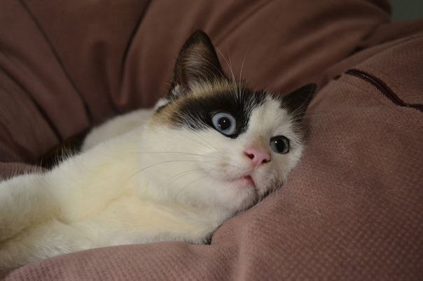       40  , , , , 