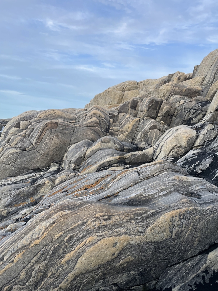 ������� ��������