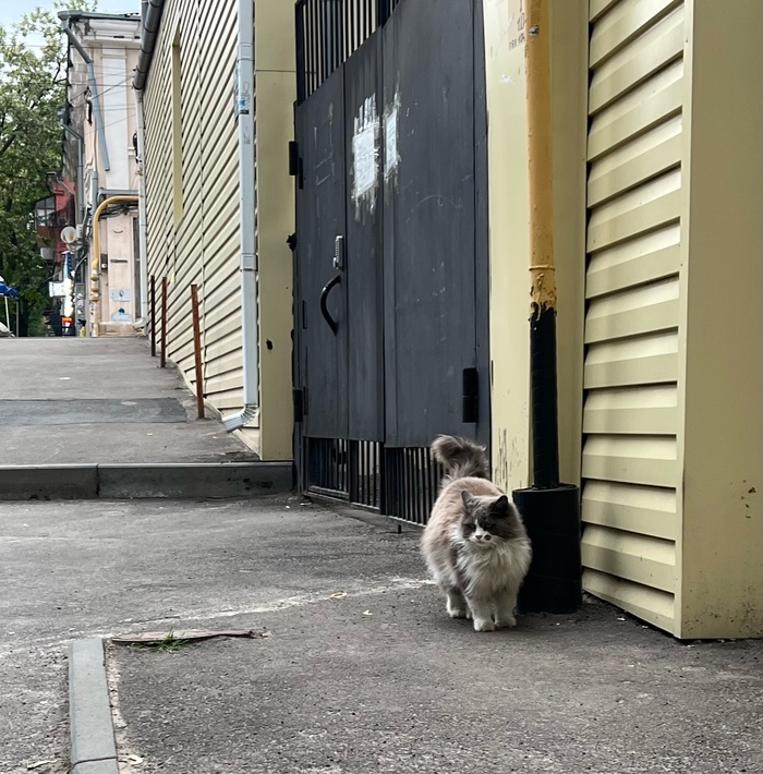 ����� �������� ����� �� ��� �������.