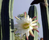 ������������� � ���������