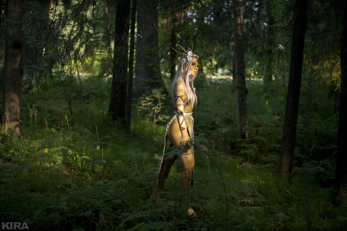      | Eithn & Mornn's wraith , ,  3:  ,  , CD Projekt, Cd projekt Red, ,  (), Reilin, 