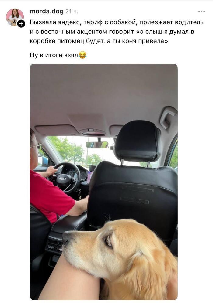      !