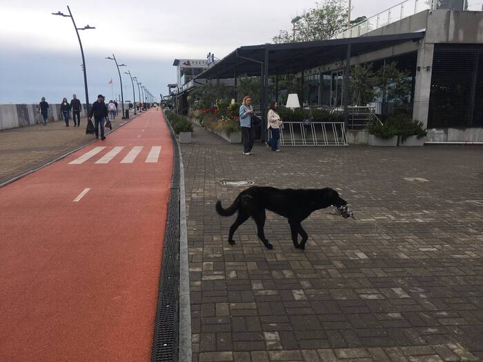 ��� ���� ����, � ������� ����� �����, ������ ������� ��������� � �������, ������������, ����� �����, ����� ������� � ���������. �� ��� �������, ����� ������ ����, ��������� ������ ������� ������ (����� ������������ � ����), ������ ��� ��������� ��� ������.