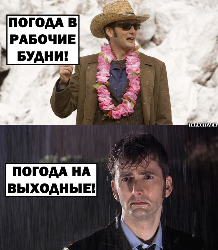 ! , , Telegram (),   , ,  ,  , 