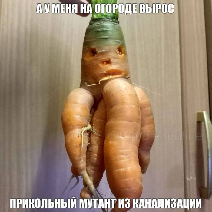  ,   , , 