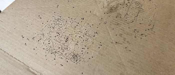 ������������ ������