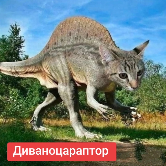      ? , 