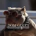 DOM.GUCCI
