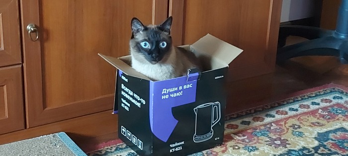  , , , 