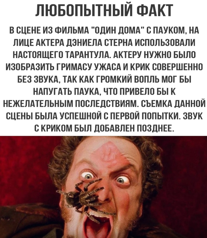   ...  , , , ,   ,   (), , , 