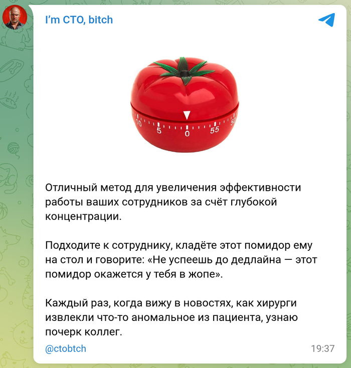  I`m CTO bitch, , Pomodoro, -, , , , , 