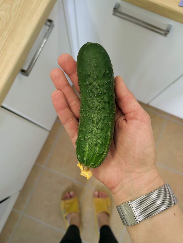    2  ,   , , , , , 