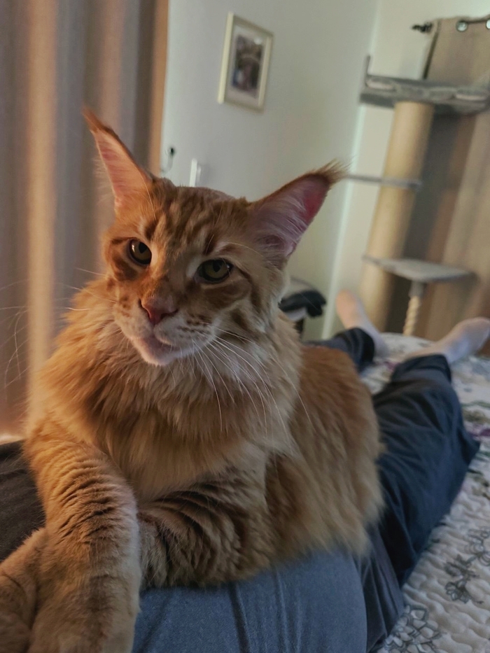 . ""  , -, ,  