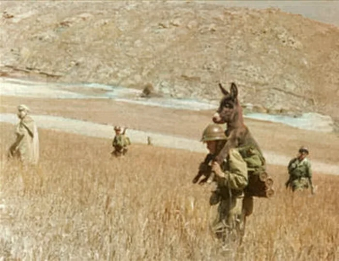 Интересные снимки различных военных конфликтов ХХ века. 20 раскрашенных фотографий 20 век, Историческое фото, Военная история, Военные, Война, Старое фото, Фотография, Колоризация, Длиннопост