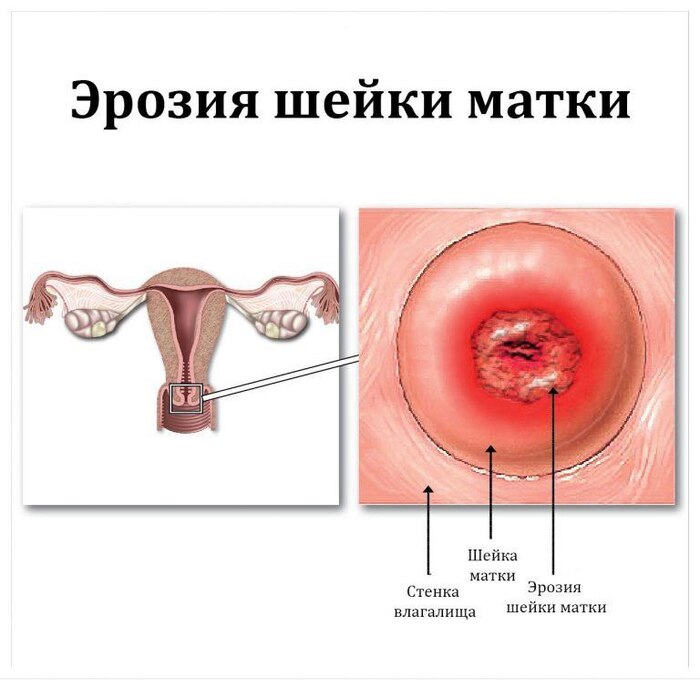    , ,   ,   , , , , 