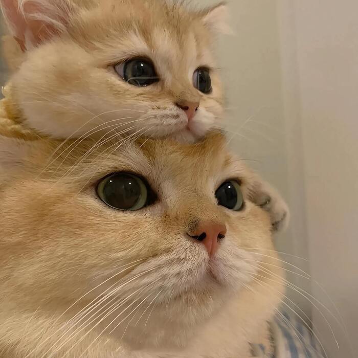   , , , , , 