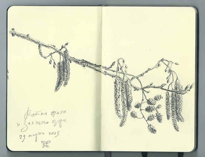 ����� �����. ������� ��������� � �������� �����.