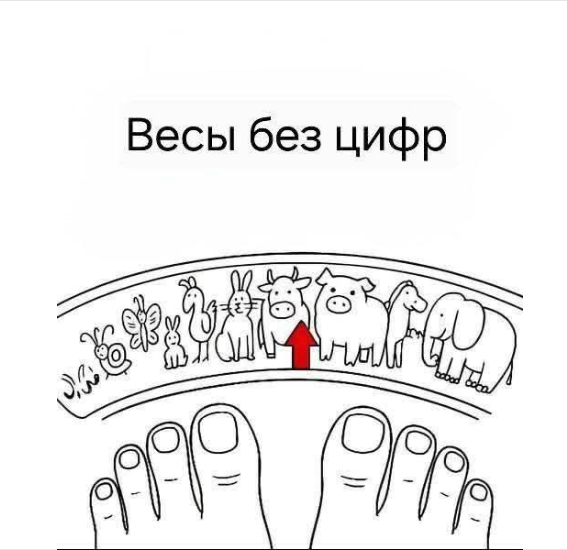  )
