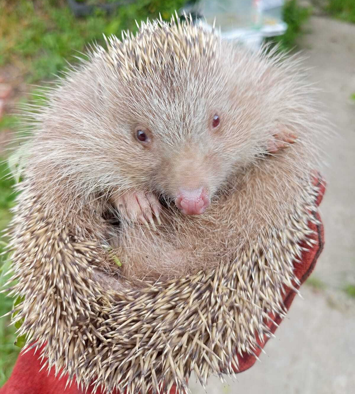 ... ,  , , , 