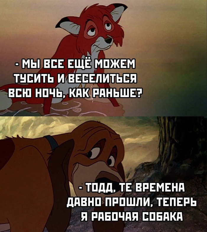     ,    Telegram (), IT , , , IT