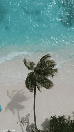       , , , 