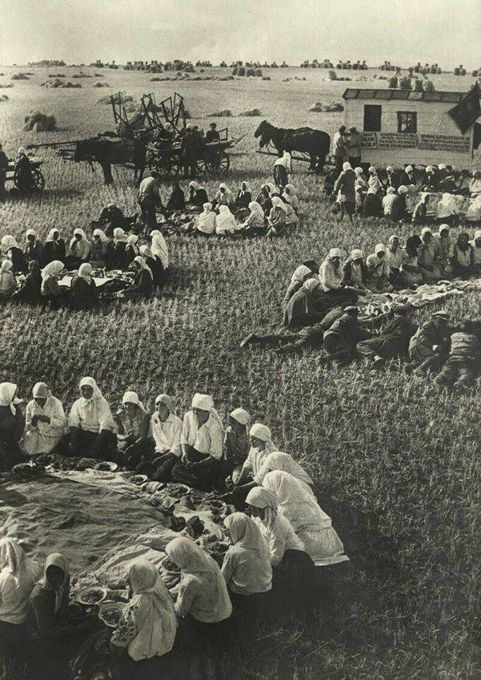 Обед в поле