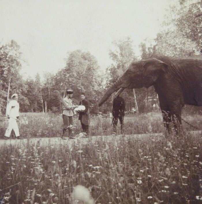 Слон Николая II