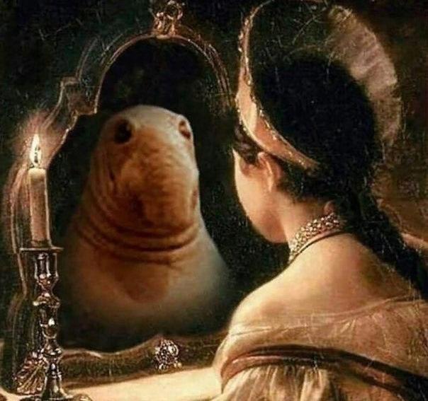  :    ,       ,  , , ,  , 