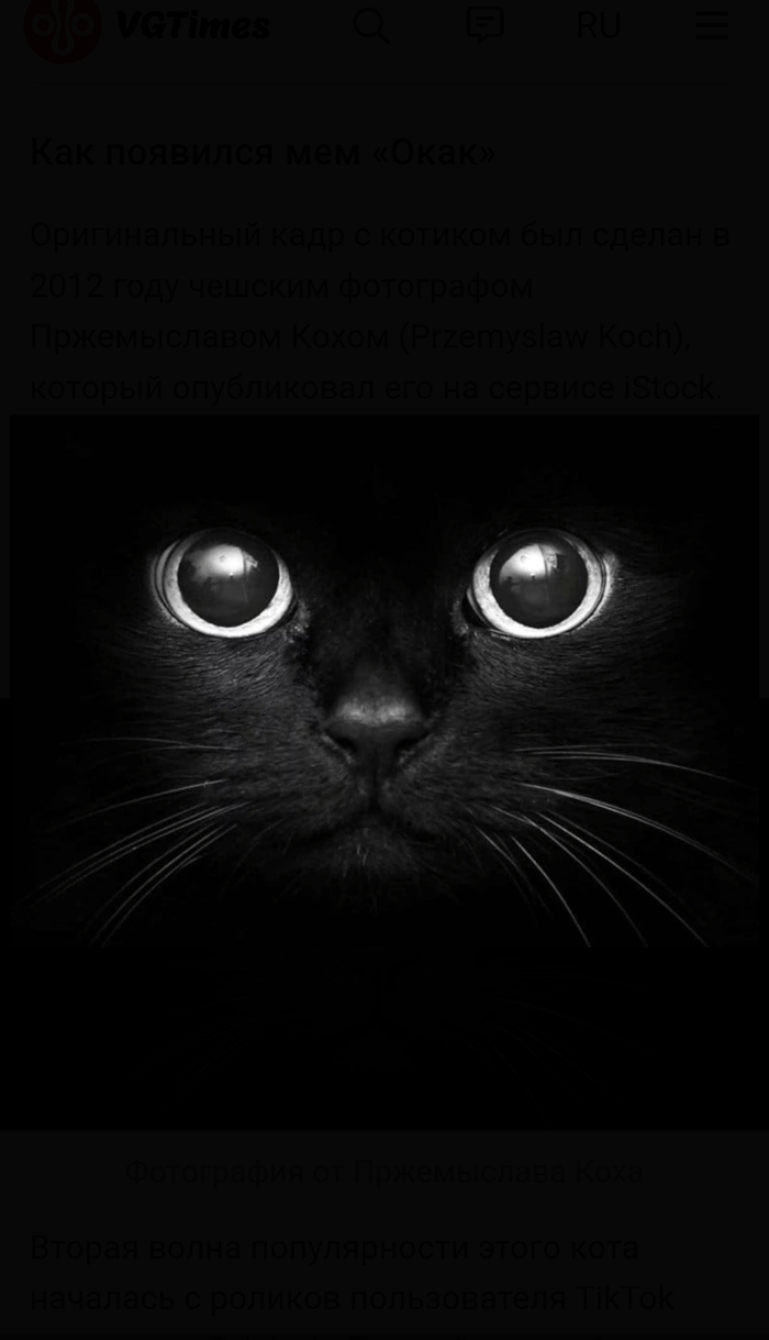  ! , , Photoshop, ,   ,    , , 